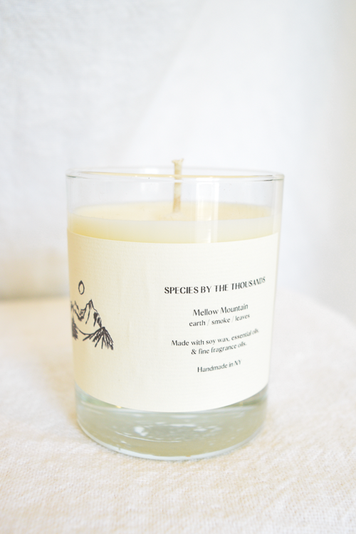 Mellow Mountain Candle