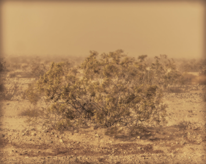 Recollection Grief by Eric Brown