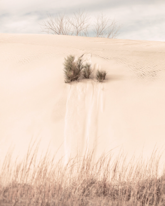 A Meager Migration by Eric Brown