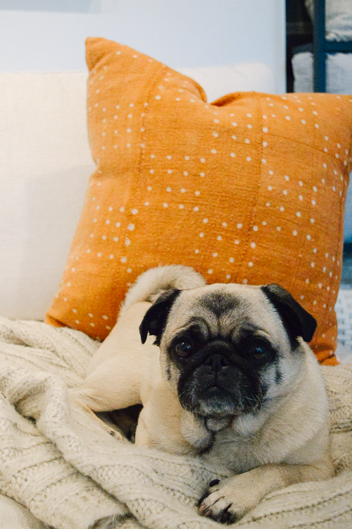 Terracota Polka Dot Throw Pillow